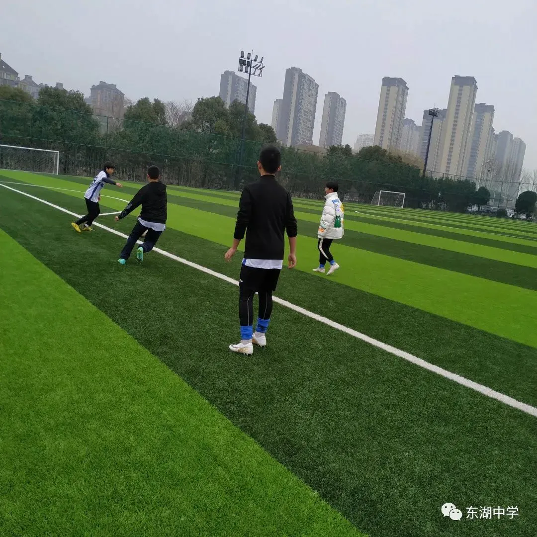 敏捷性训练对篮球比赛表现的影响及解决方案_1
